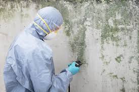 Asbestos and Lead Testing During Mold Inspection in Excelsior Springs, MO